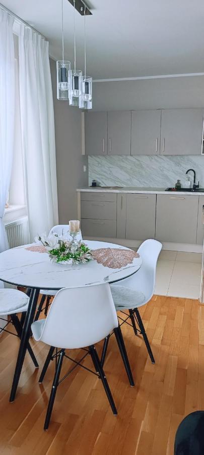 Cosmopolitan Apartament Z Bezplatnym, Prywatnym Parkingiem W Hali Garazowej Stary Toruń Extérieur photo